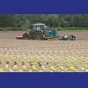 Sampling Solutions for the Agriculture Industry including crops and animals