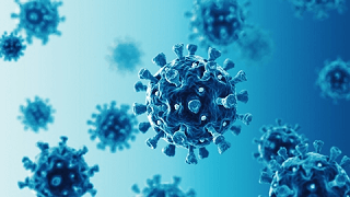 The COVID-19 virus