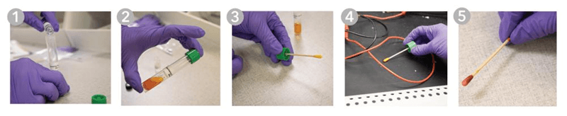 The steps in using LeadSense Swab Kit