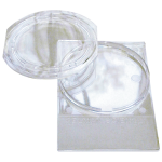 Petri Dish Slides